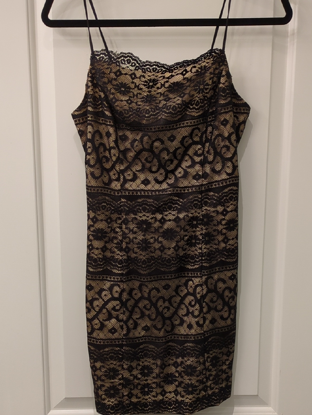 XOXO Black Lace Dress with Gold Lining